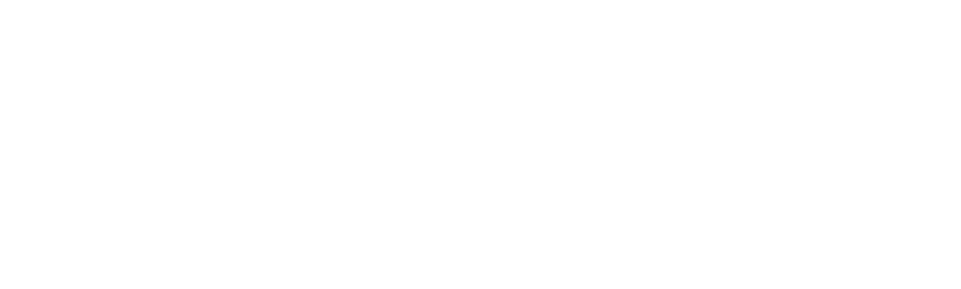Cogneesol